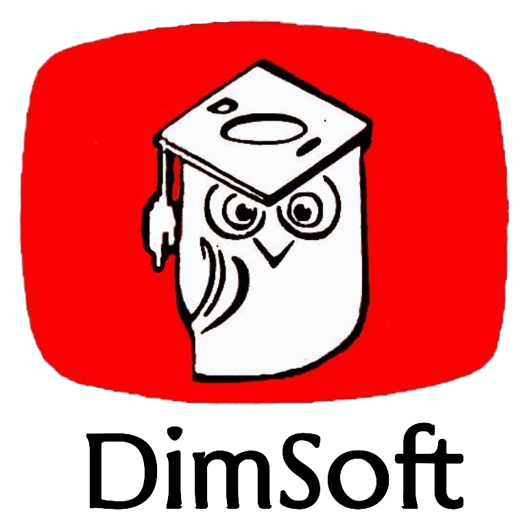 DimSoft vintage logo